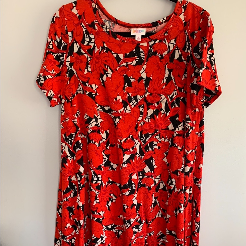 Lularoe Carly hi-low dress